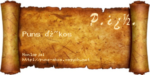 Puns Ákos névjegykártya