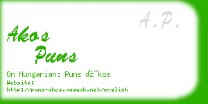 akos puns business card